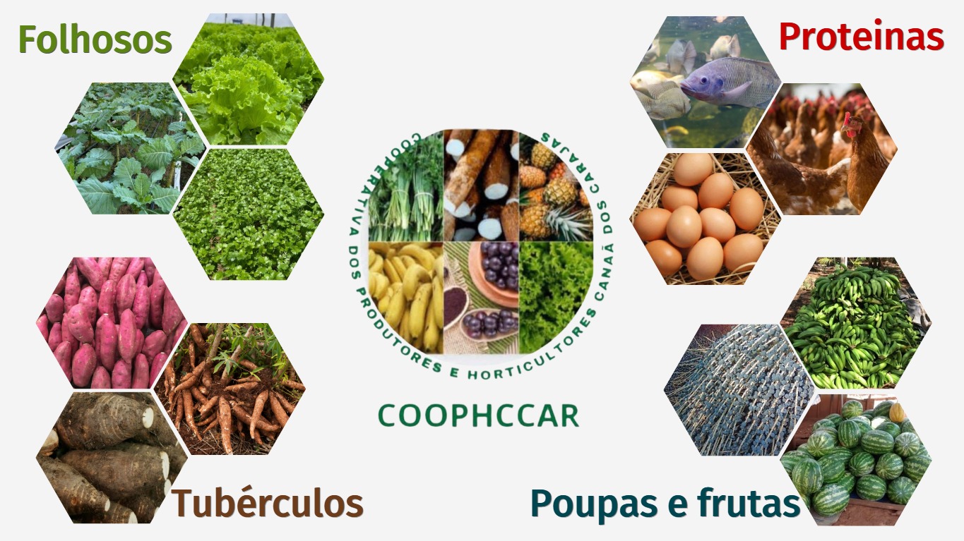 Produtores COOPHCCAR